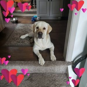 Meet your Posher, Barbara